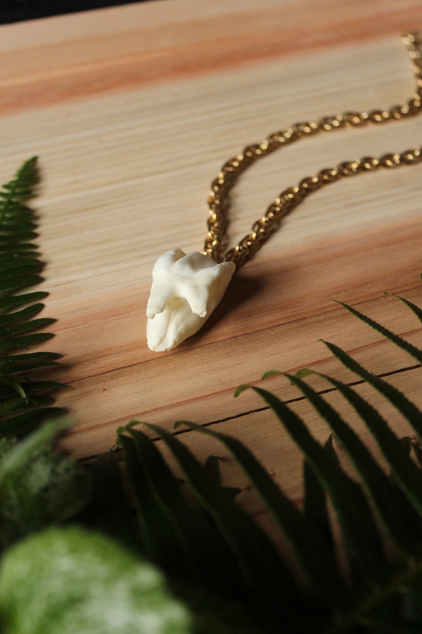 Chunky Elk Tooth Necklace