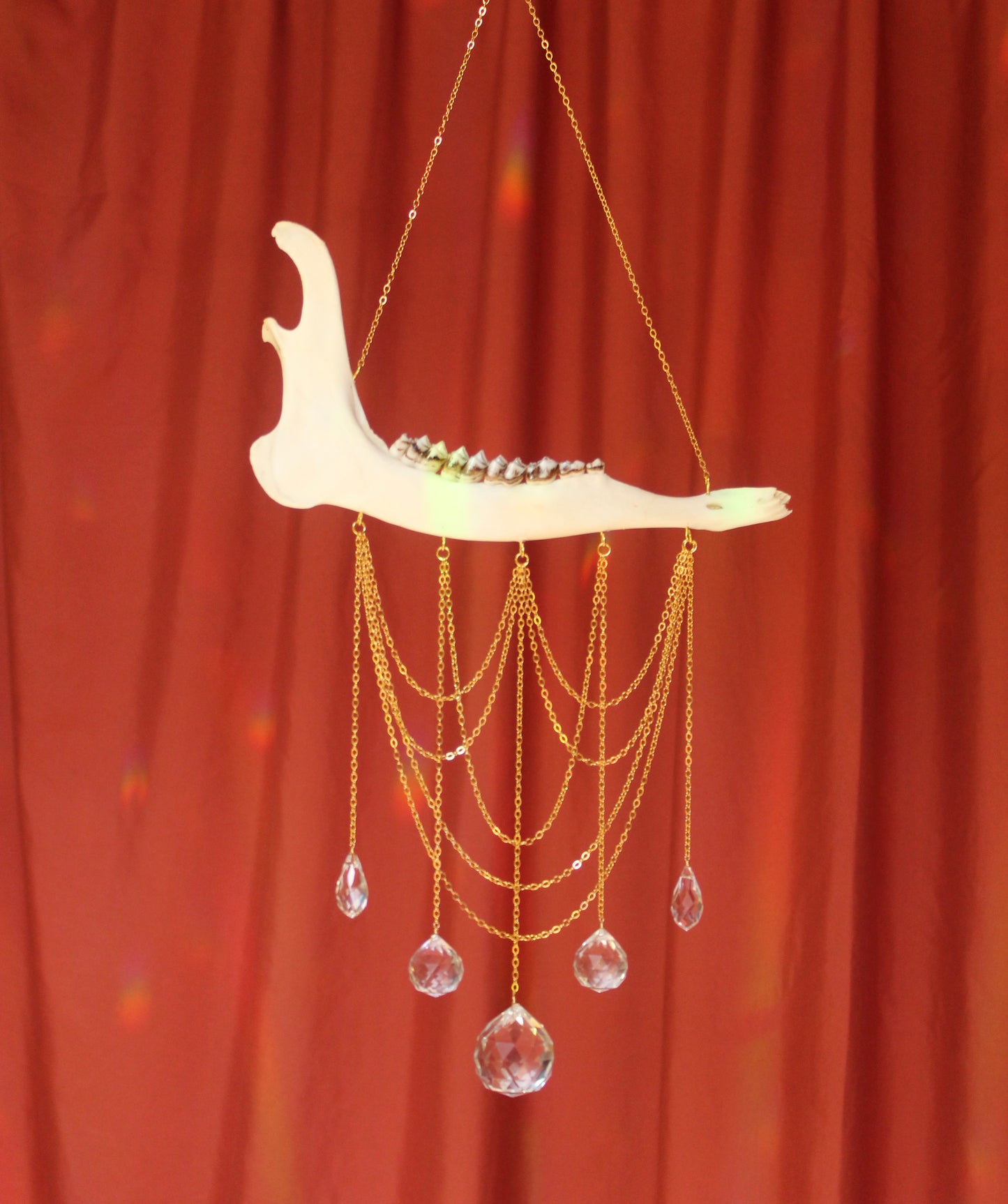 Deer Jaw Chandelier Suncatcher