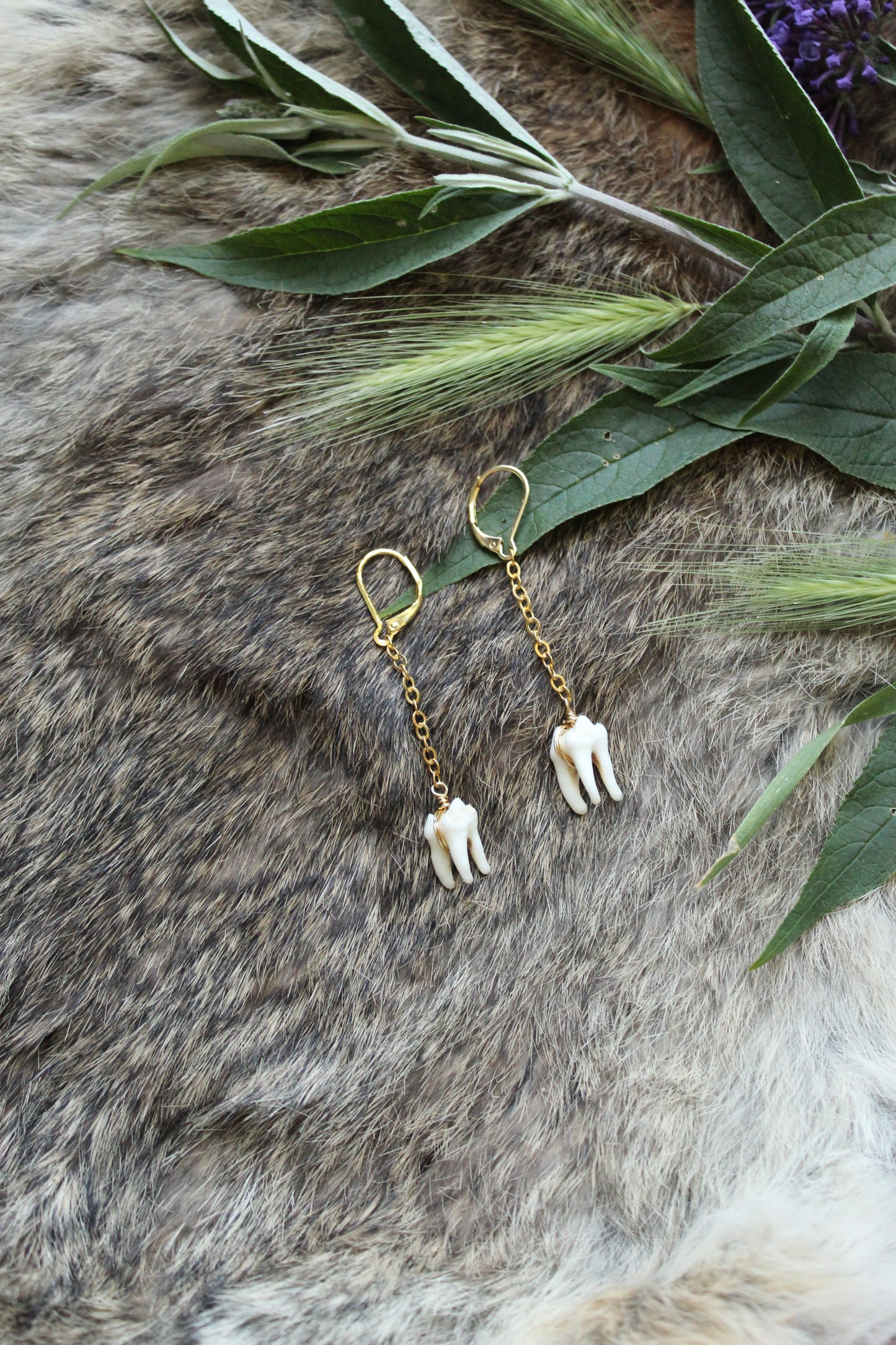 Minimalist Raccoon Tooth Drop Earrings