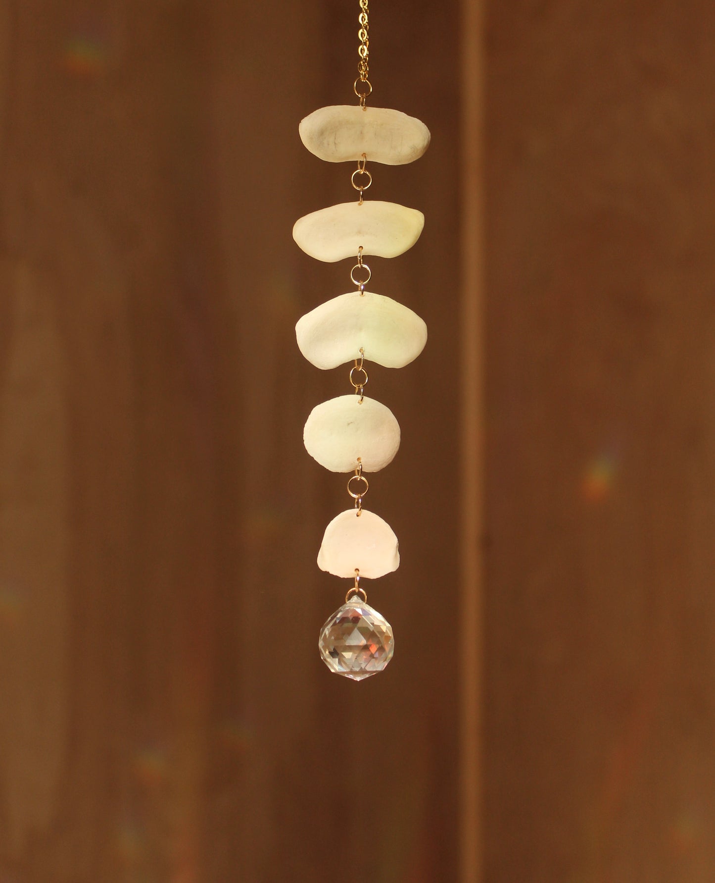 Vertebrae Cap Suncatcher