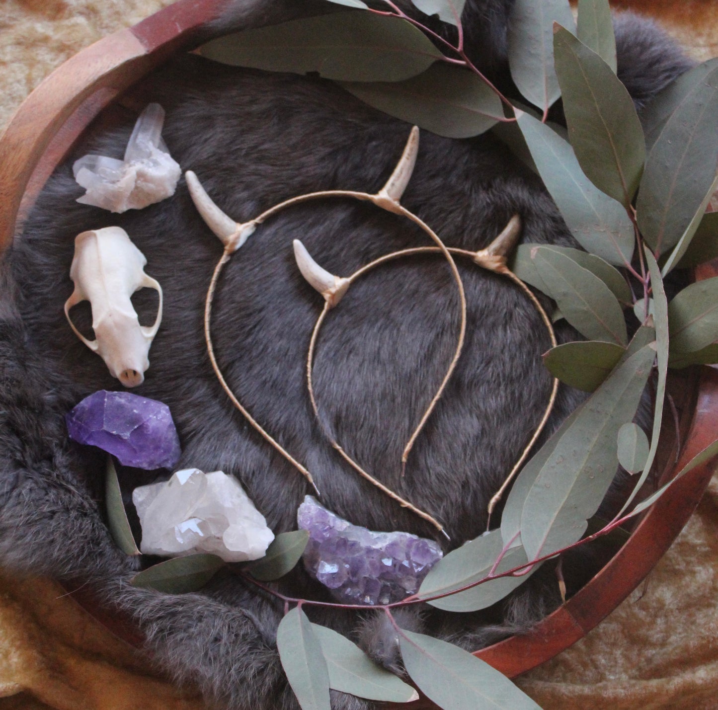 Champagne Horn Headbands