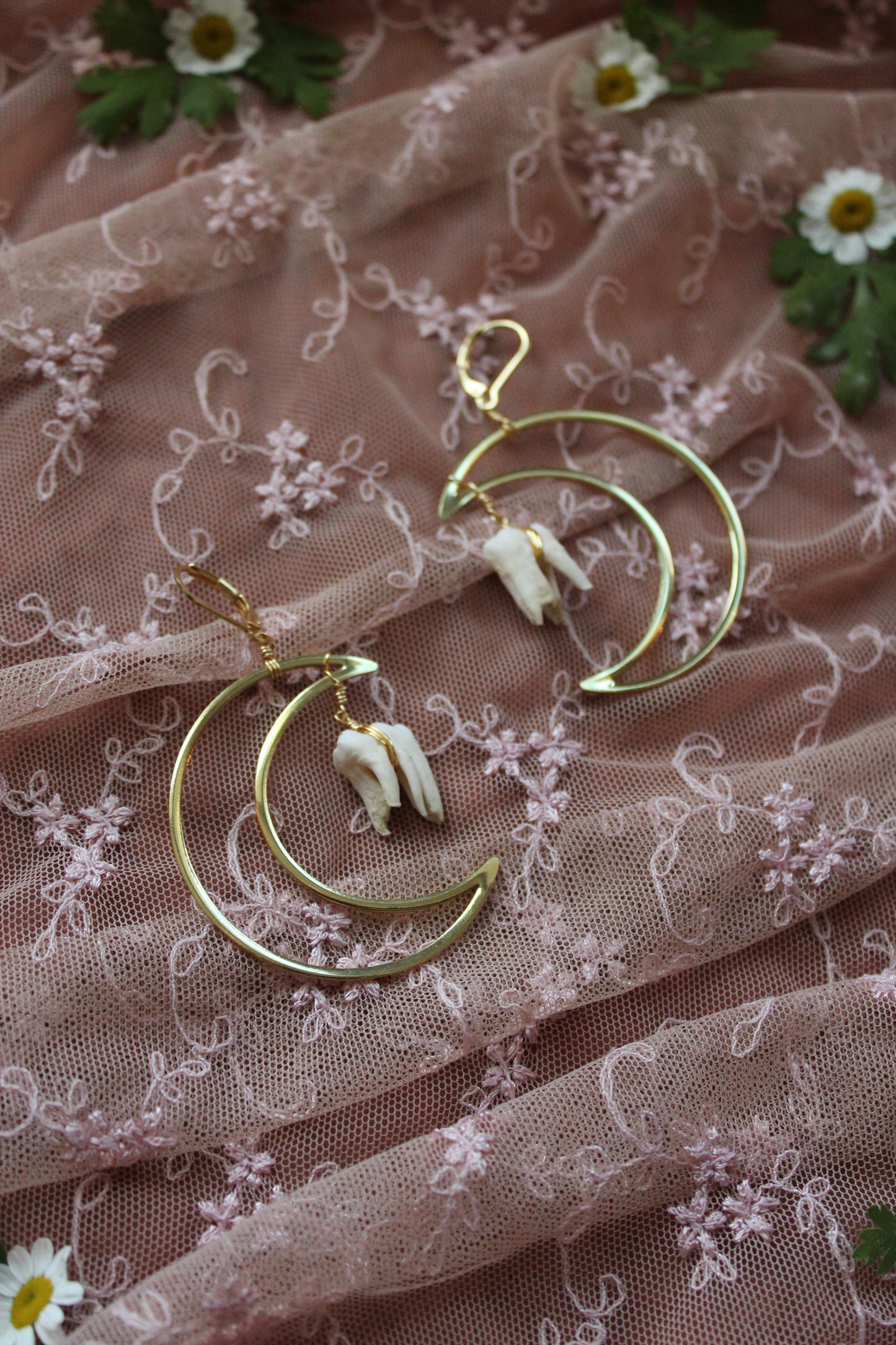 Deer Molar Moon Earrings GP