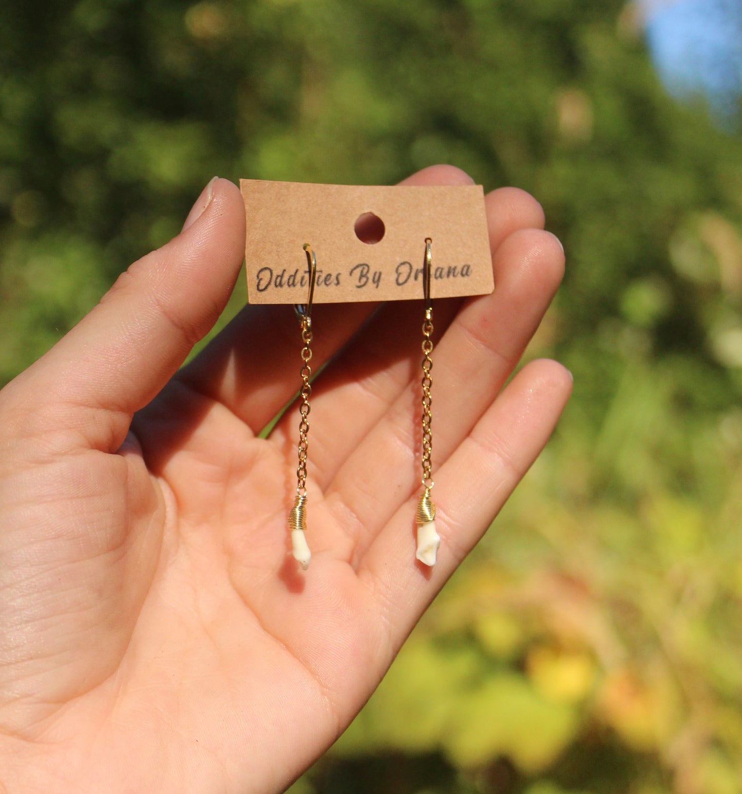 Minimalist Raccoon Incisor Earrings