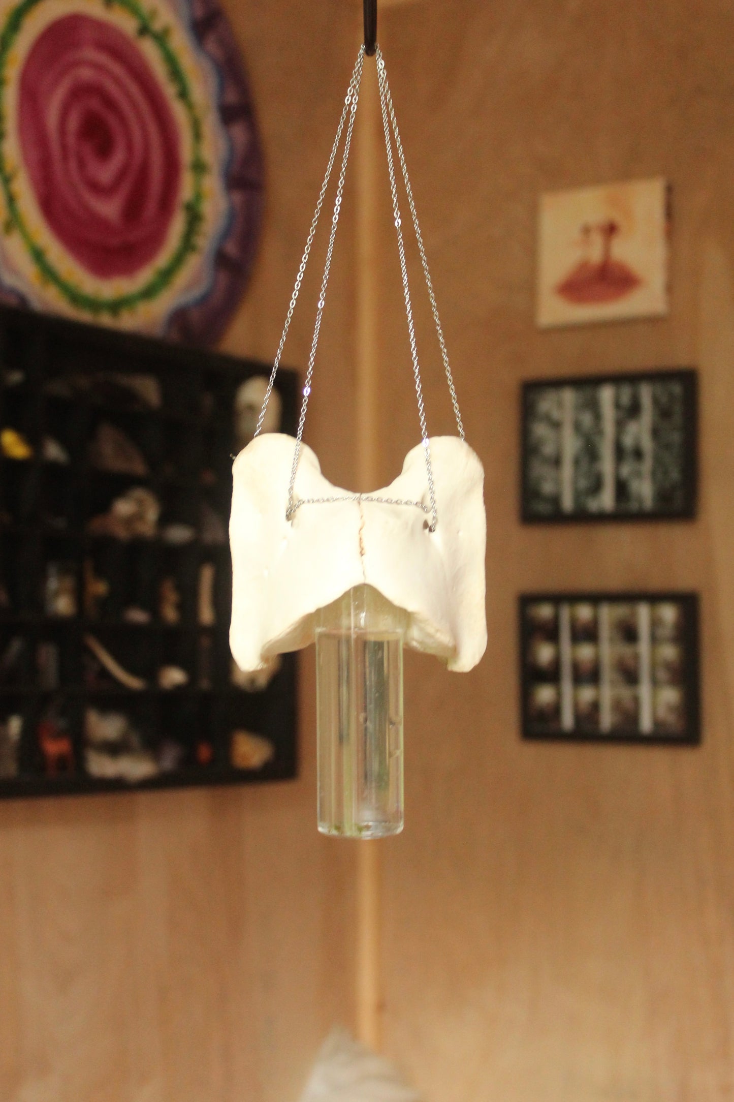 Deer Atlas Hanging Propagation Station