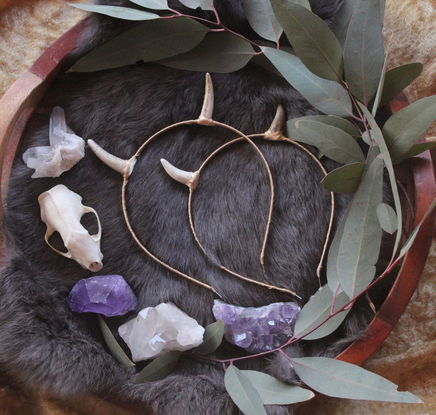 Champagne Horn Headbands