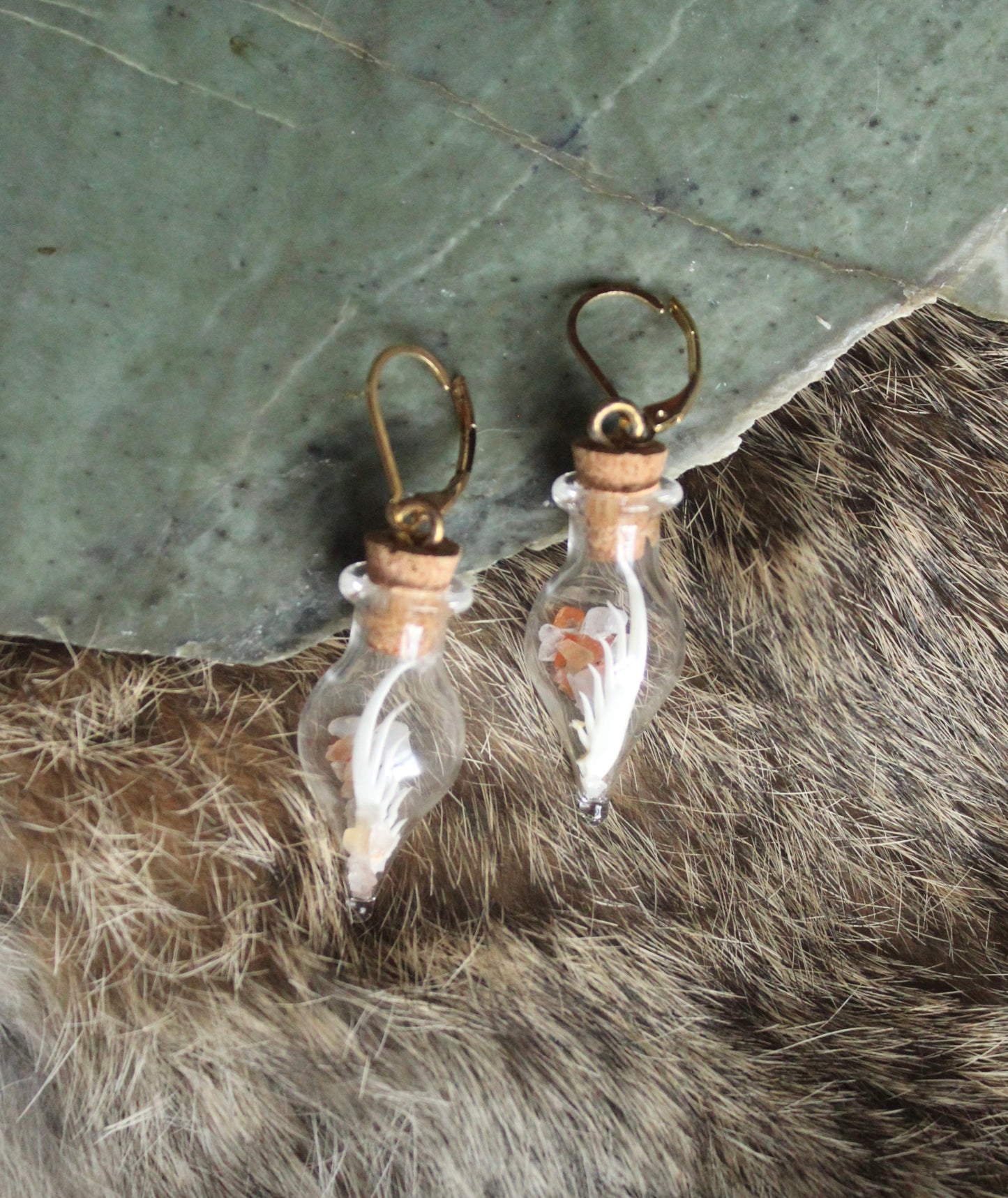 Mantis Shrimp “Terrarium” Earrings GP