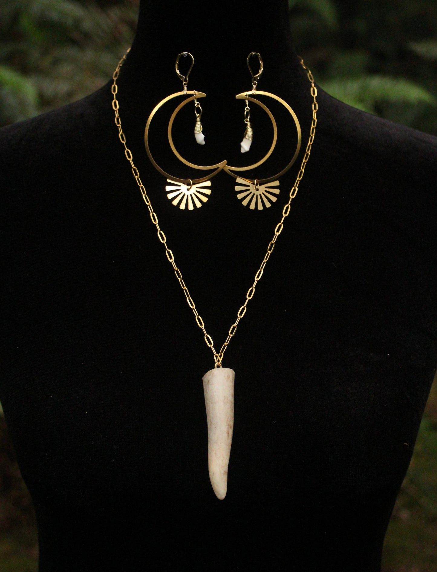 Celestial Coyote Incisor Earrings