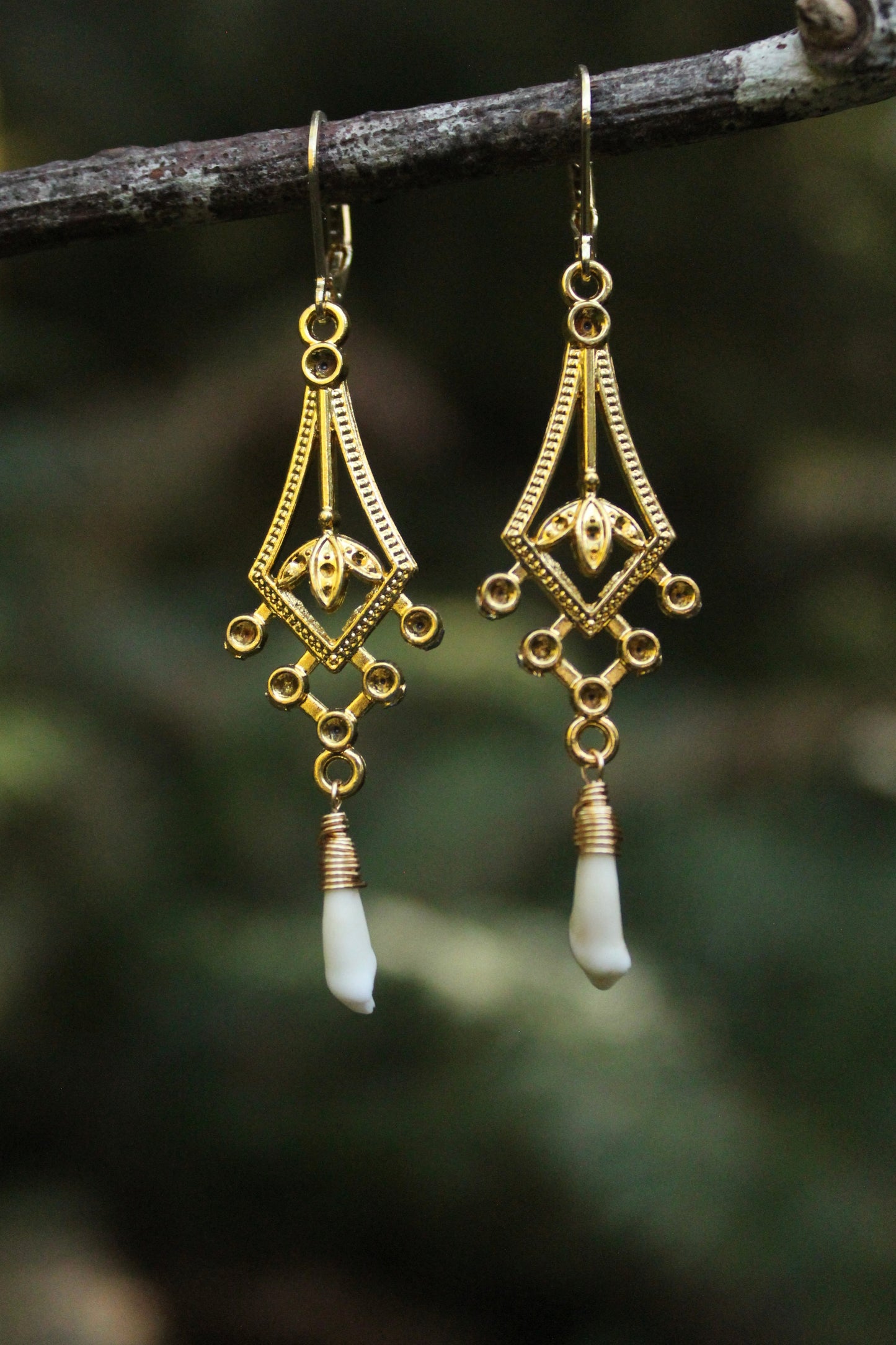 Ornate Coyote Incisor Earrings