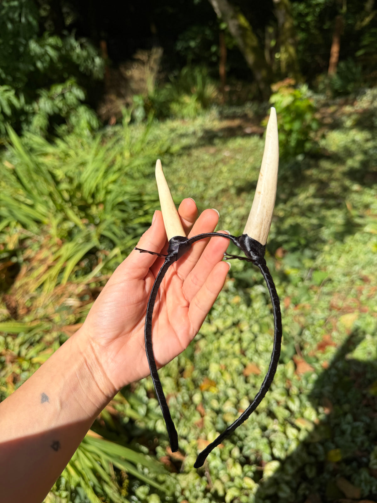 Elk Antler Horns