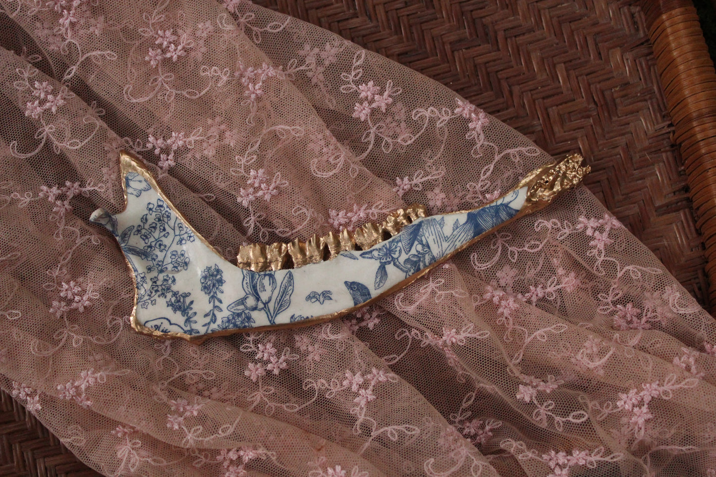 ‘Porcelain’ Deer Jaw Set