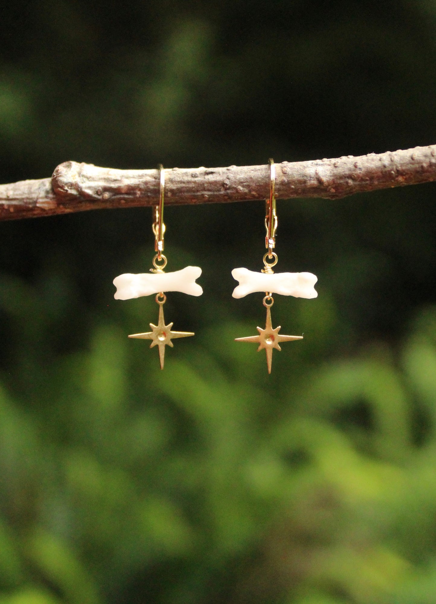North Star Feral Cat Toe Earrings