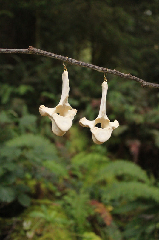 Coyote Vertebrae Earrings