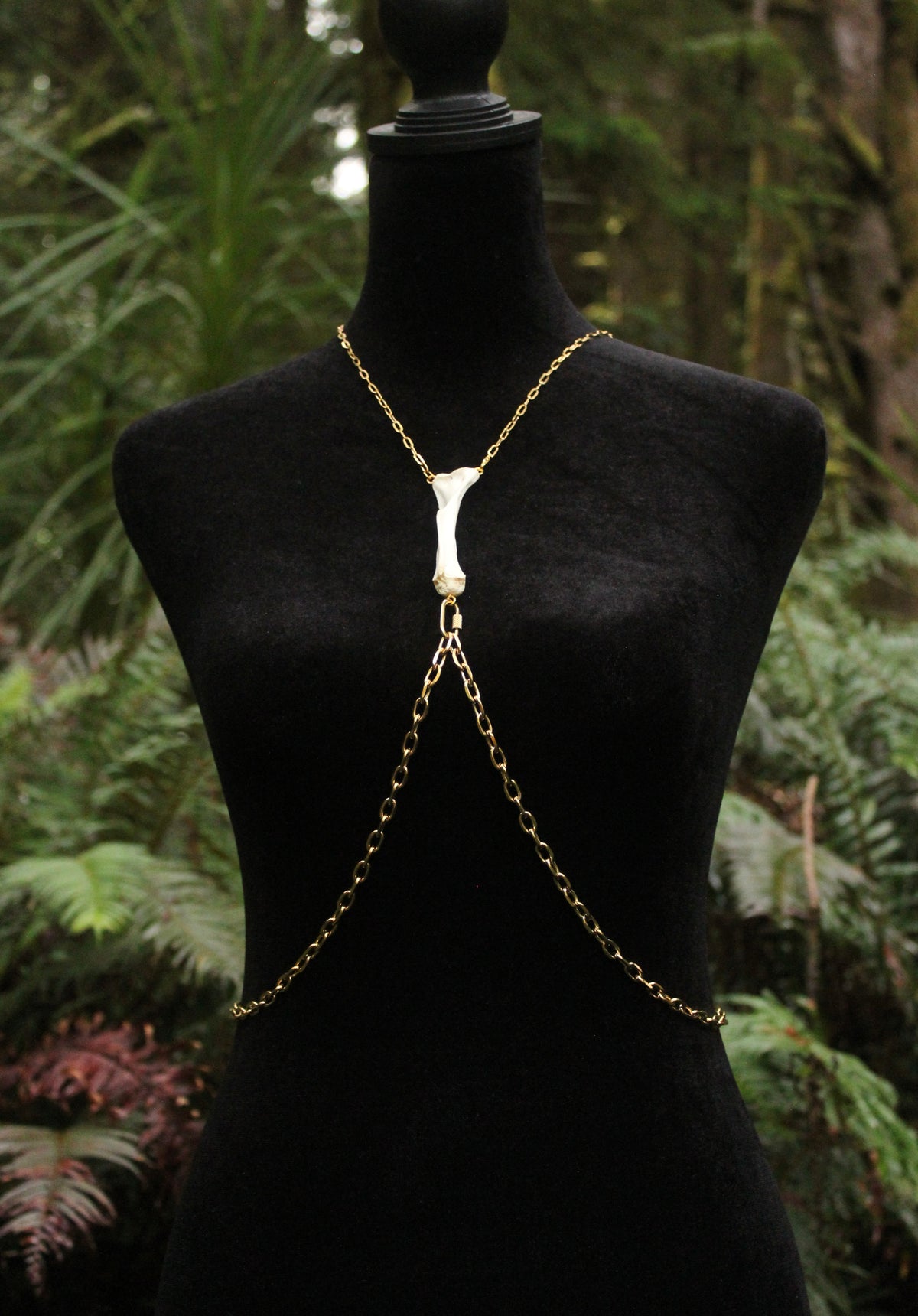 Bob Cat Spine Harness
