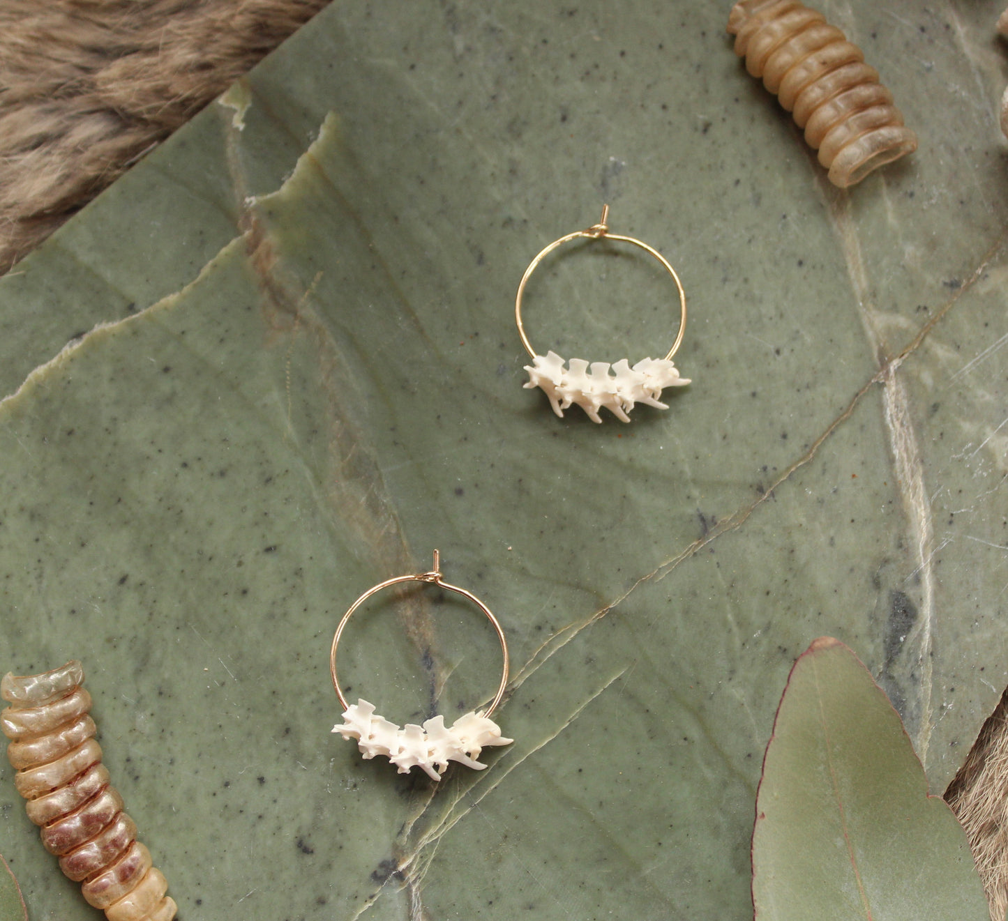 GF RattleSnake Vertebrae Hoops