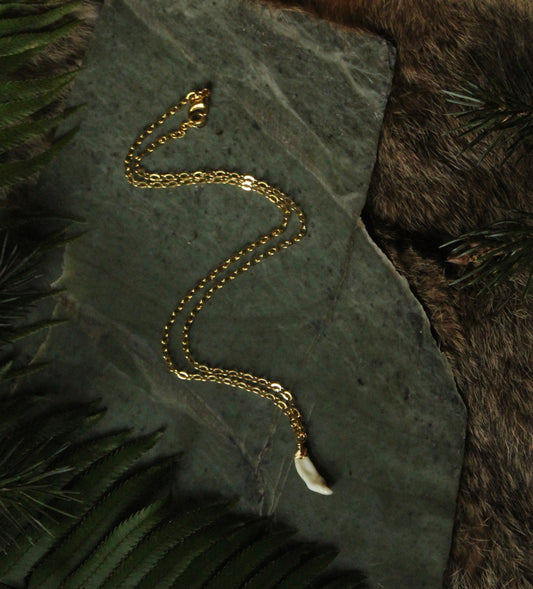 Minimal Coyote Incisor Necklace