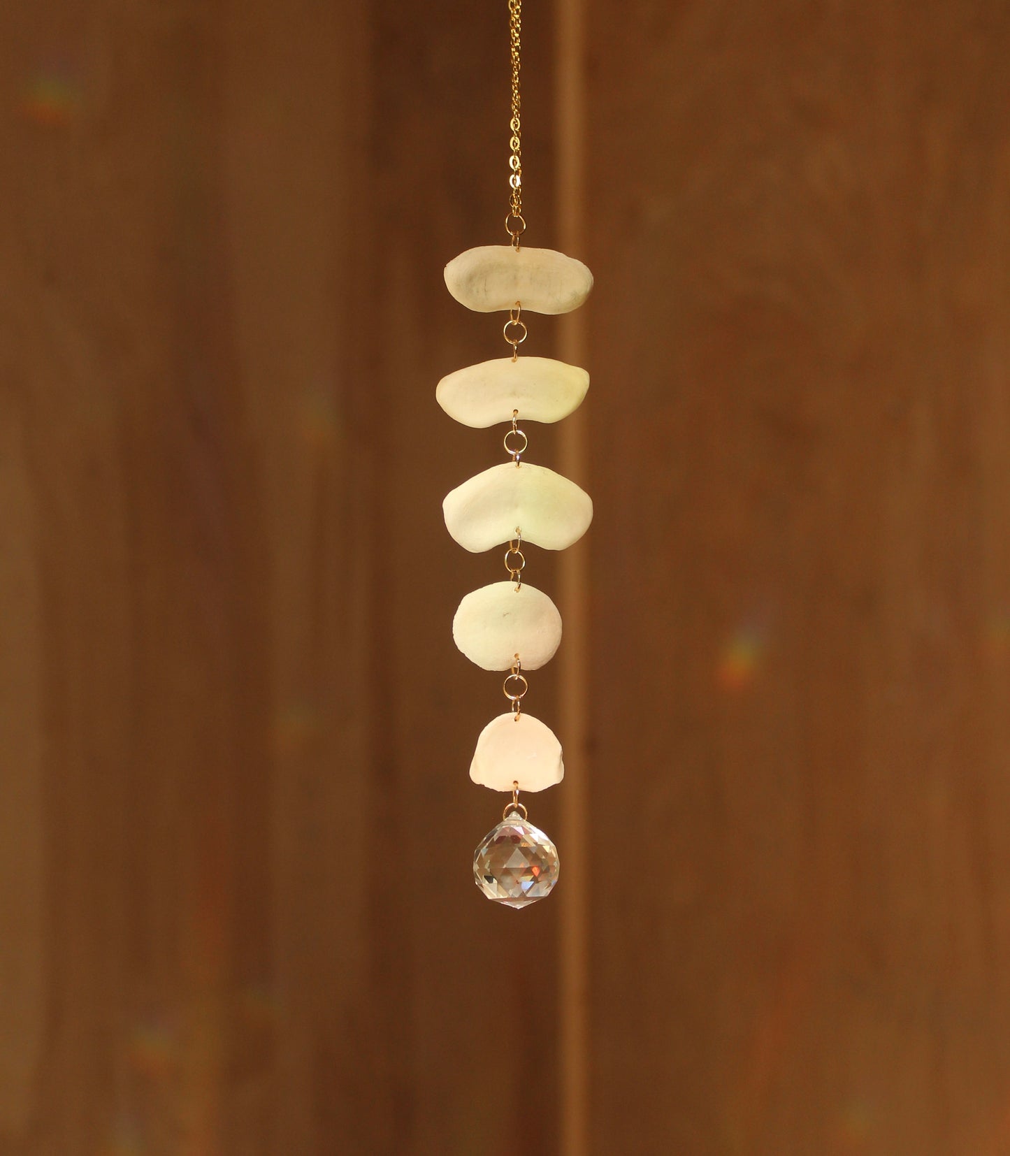 Vertebrae Cap Suncatcher