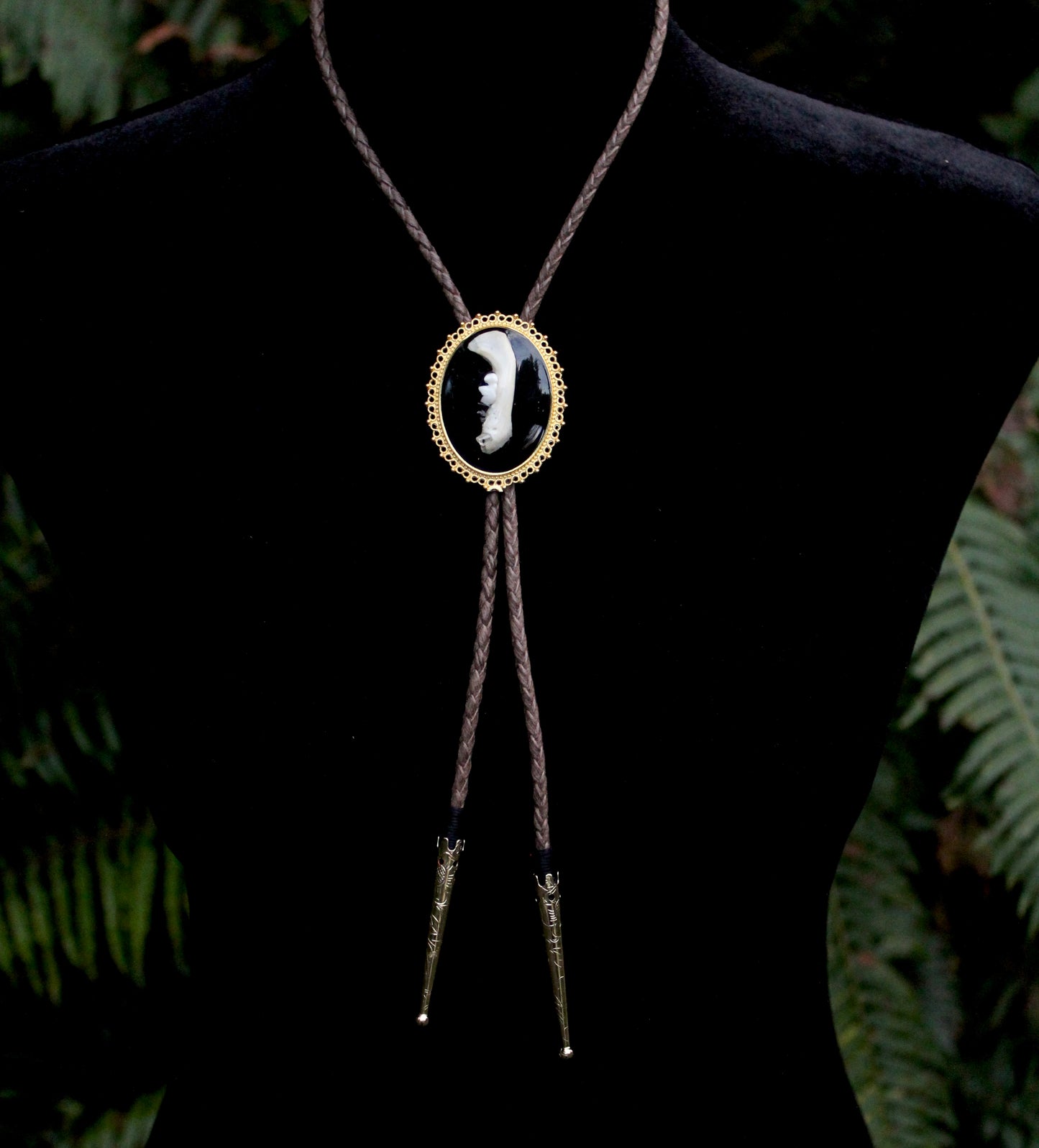 Skunk Jaw Bolo Tie