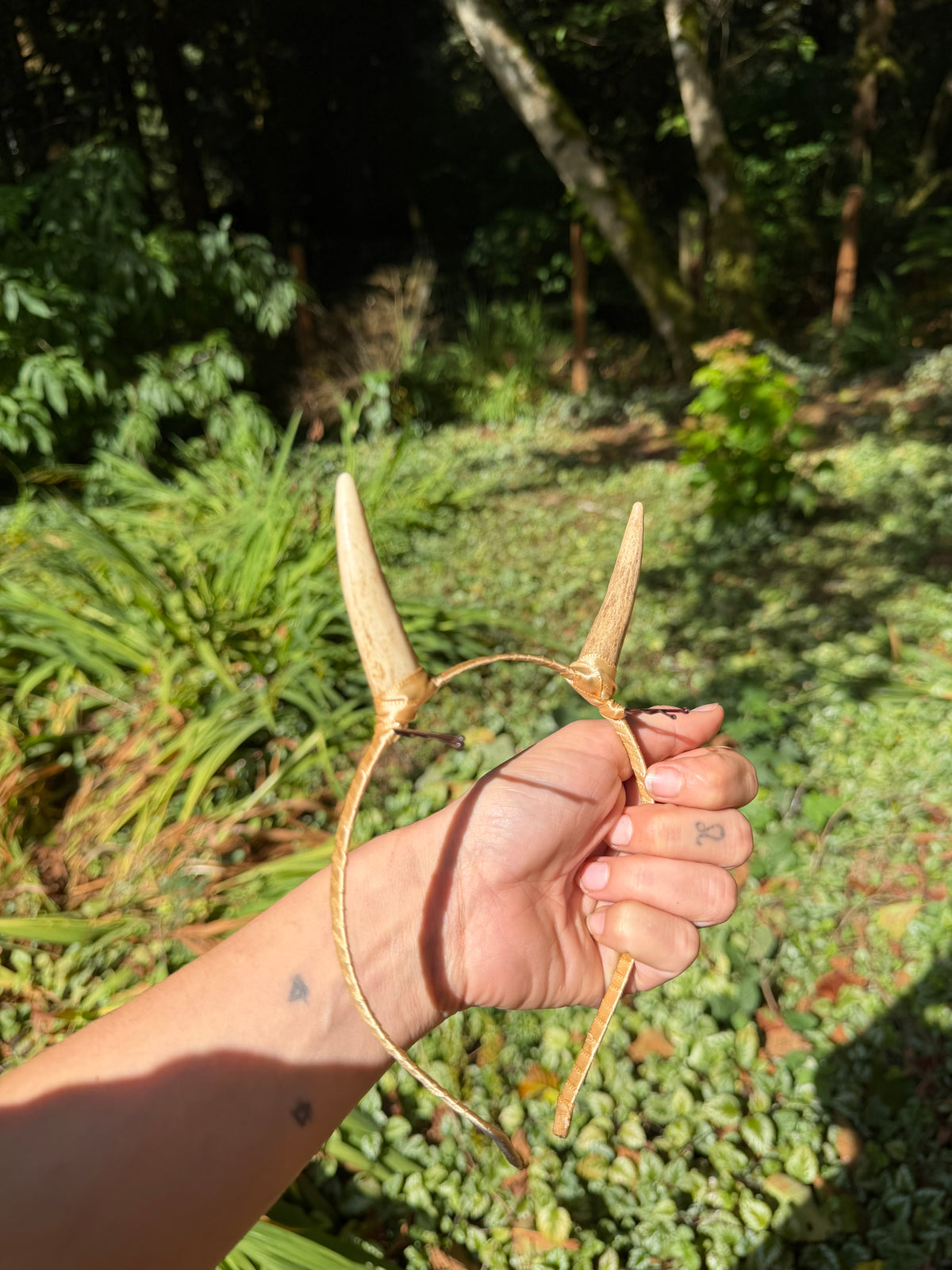 Elk Antler Horns