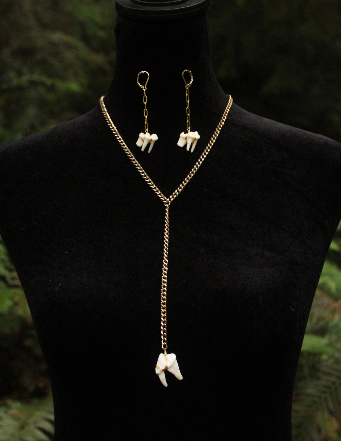 Coyote Molar Drop Necklace
