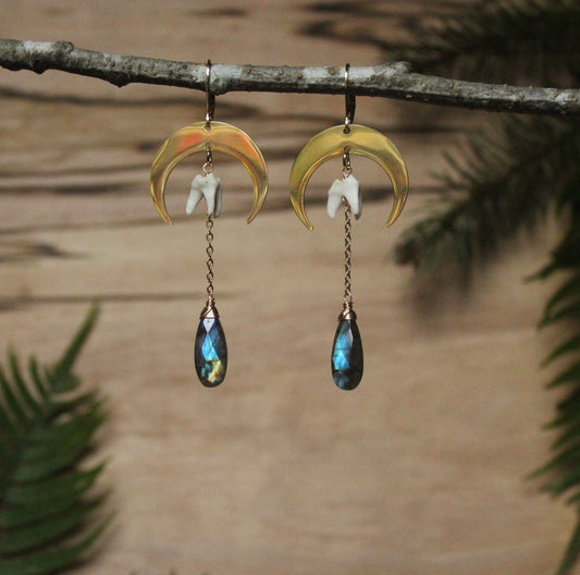 Labradorite Molar Moon Earrings