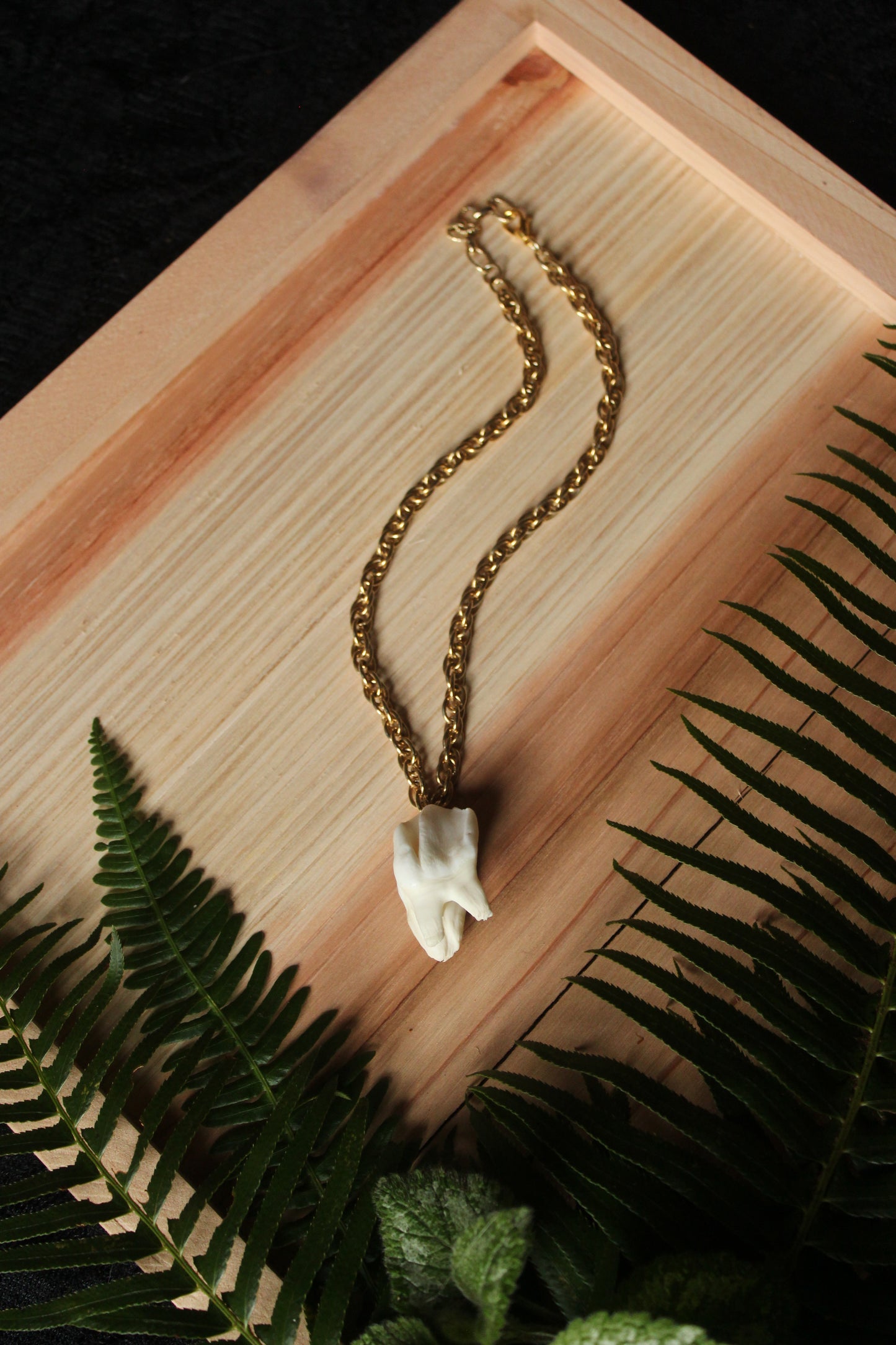 Chunky Elk Tooth Necklace