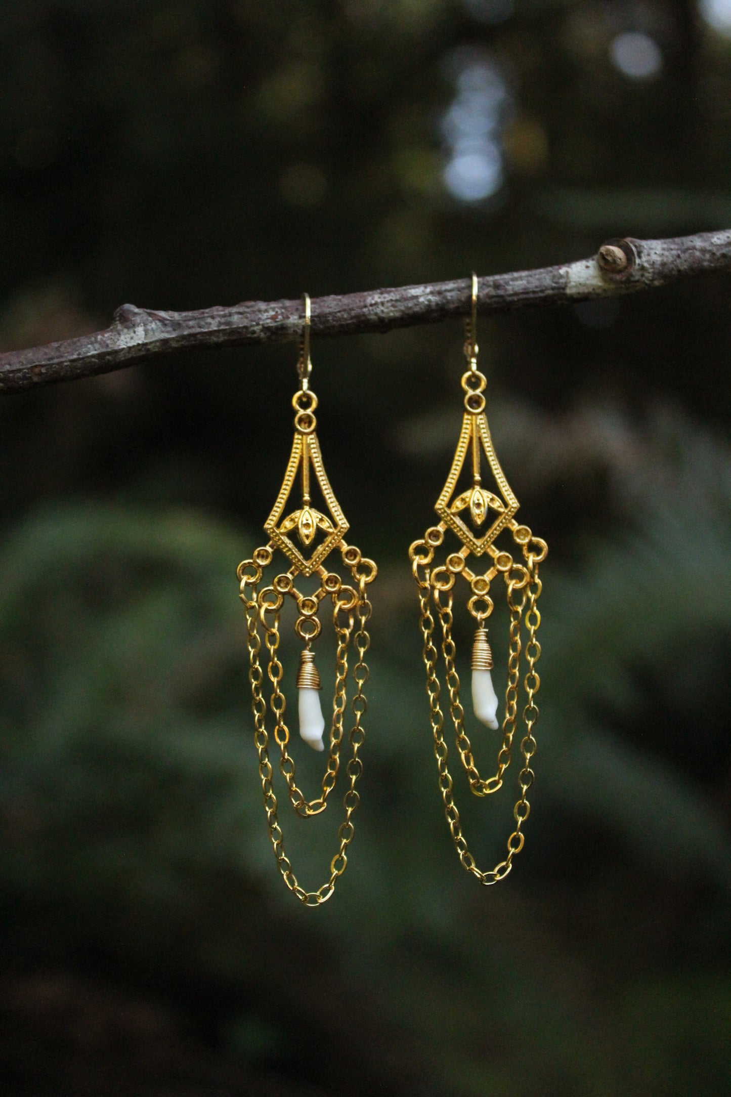Coyote Incisor Chandelier Earrings