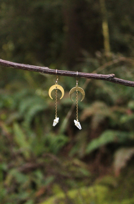 Raccoon Teeth Moon Earrings