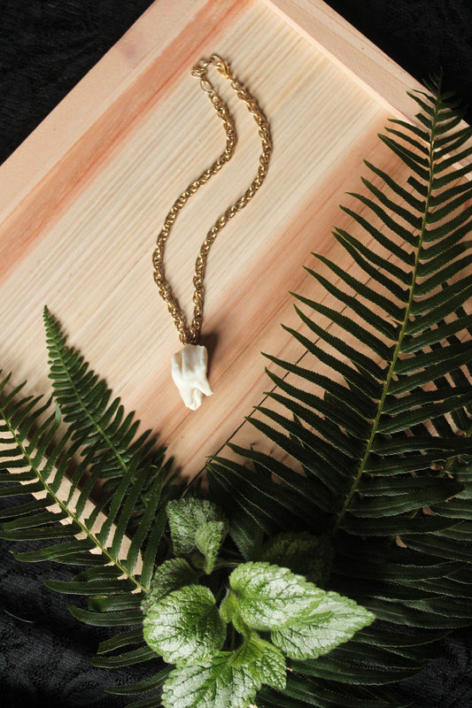 Chunky Elk Tooth Necklace