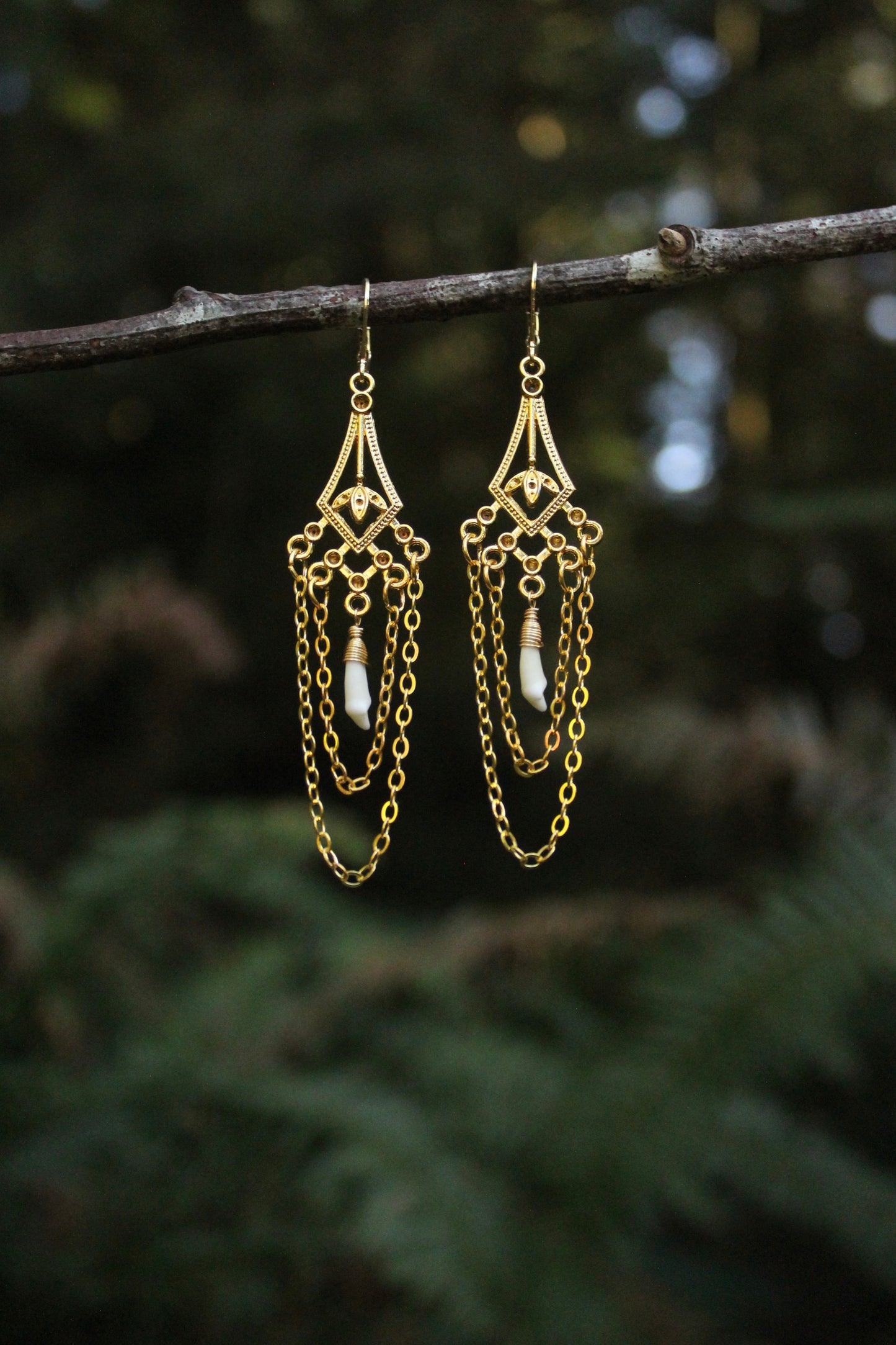 Coyote Incisor Chandelier Earrings