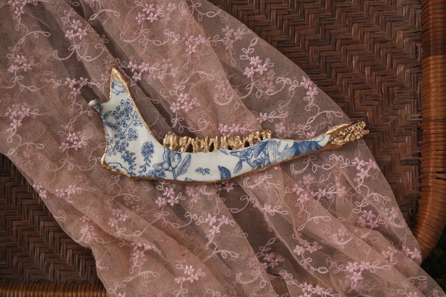 ‘Porcelain’ Deer Jaw Set