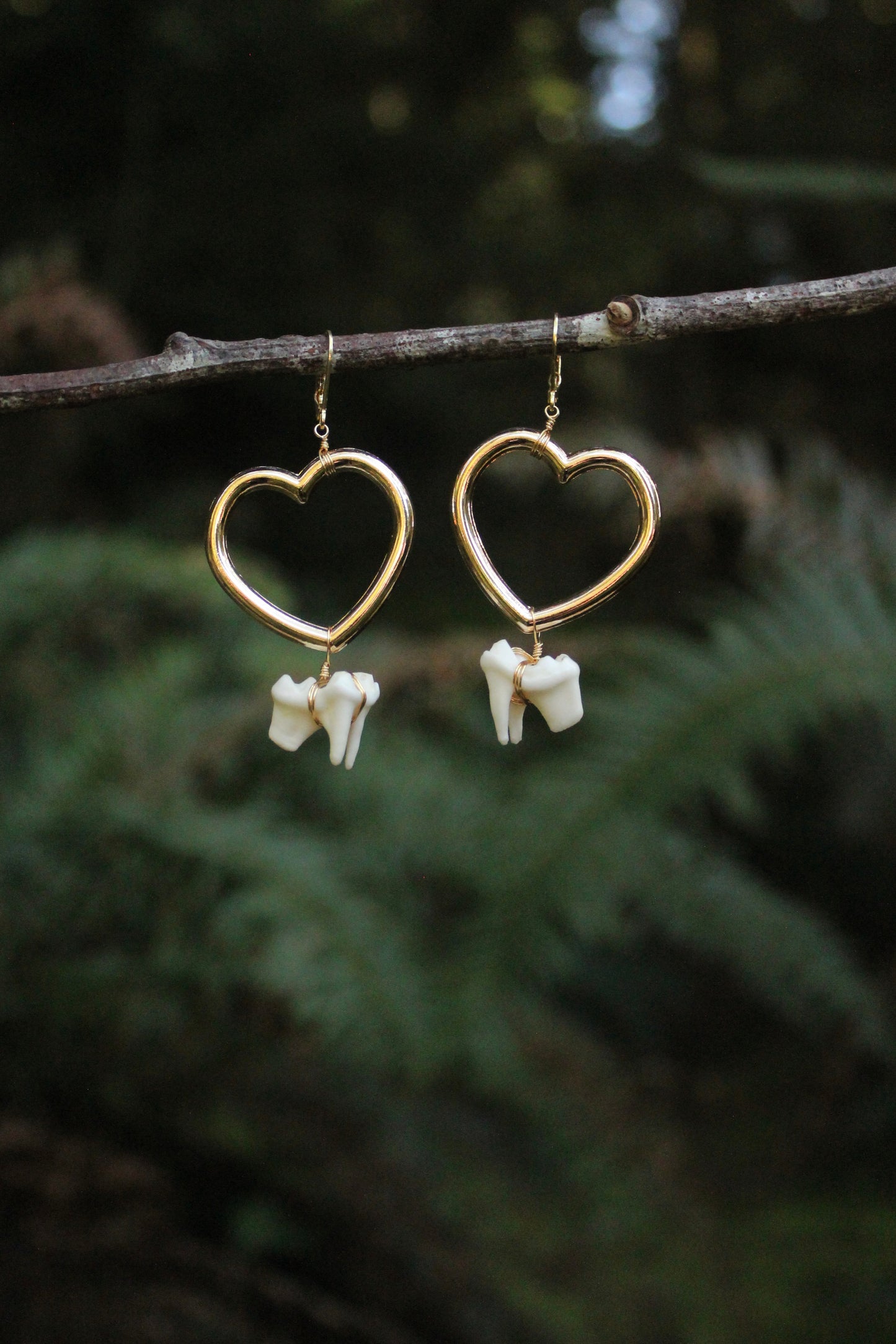 Coyote Molar Heart Earrings