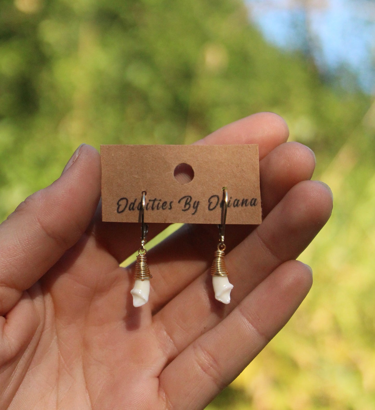 Minimalist Coyote incisor Earrings