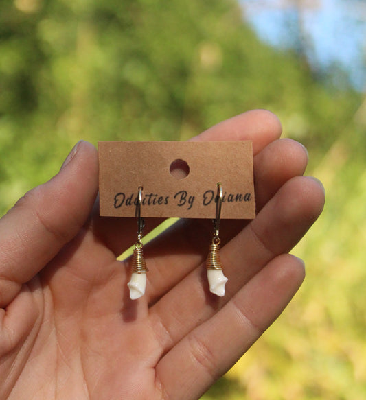Minimalist Coyote incisor Earrings