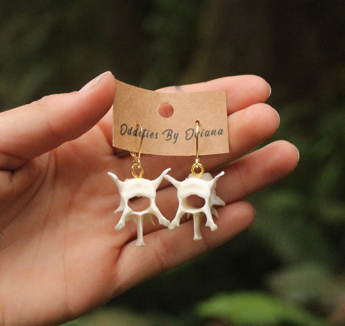 Raccoon Vertebrae Earrings