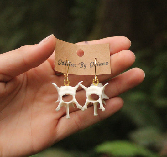 Raccoon Vertebrae Earrings