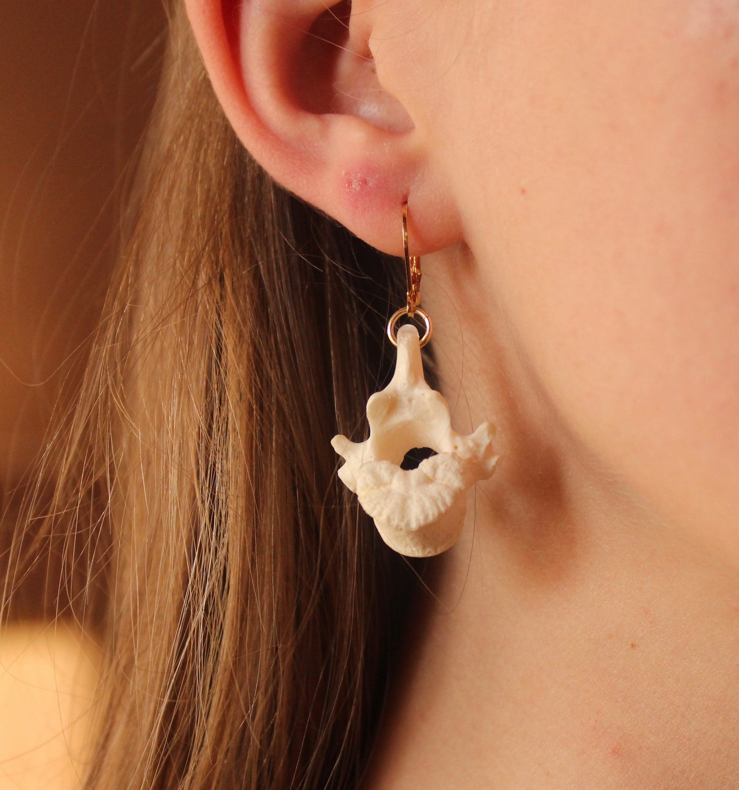 GF Coyote Vertebrae Earrings