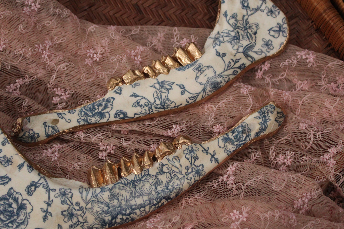 ‘Porcelain’ Elk Jaw Set