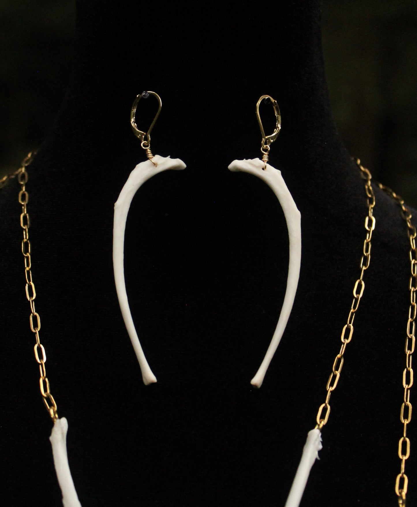 Feral Cat Rib Earrings
