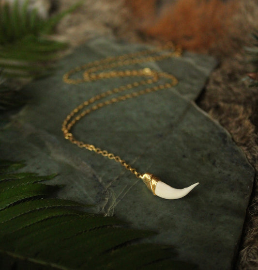 Deer Tooth Root Necklace