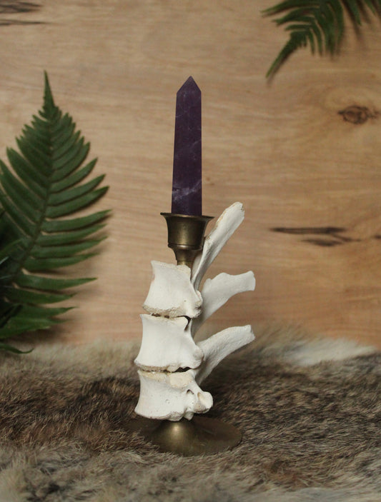 Deer Vertebrae Candle Holder
