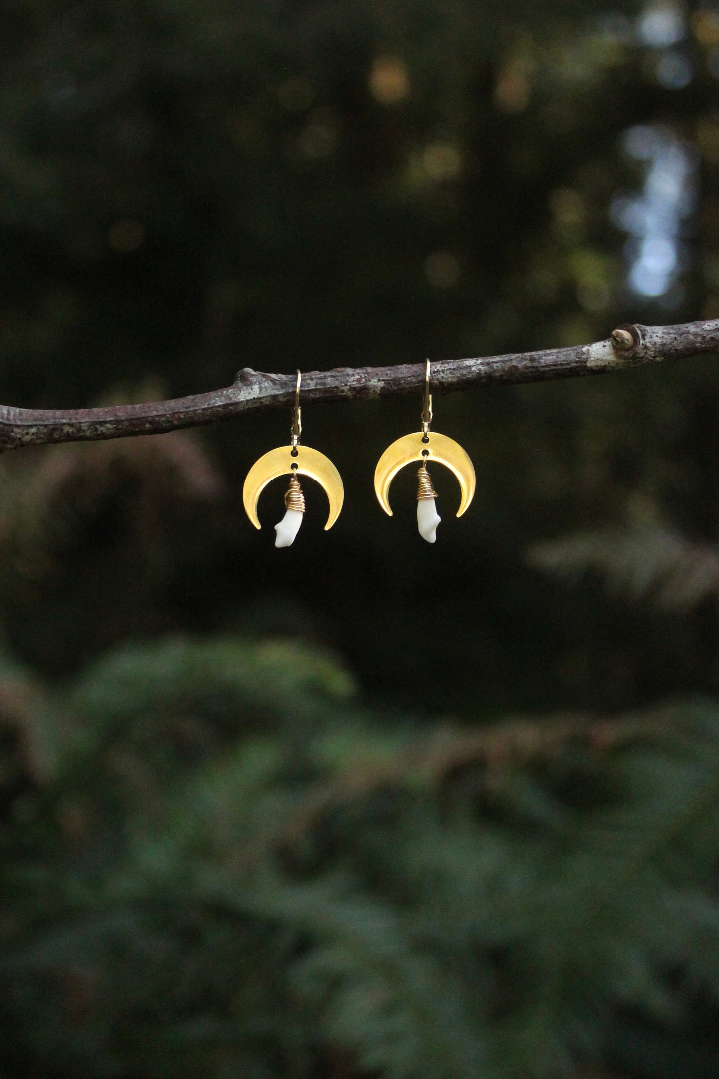 Mini Moon Raccoon Tooth Earrings