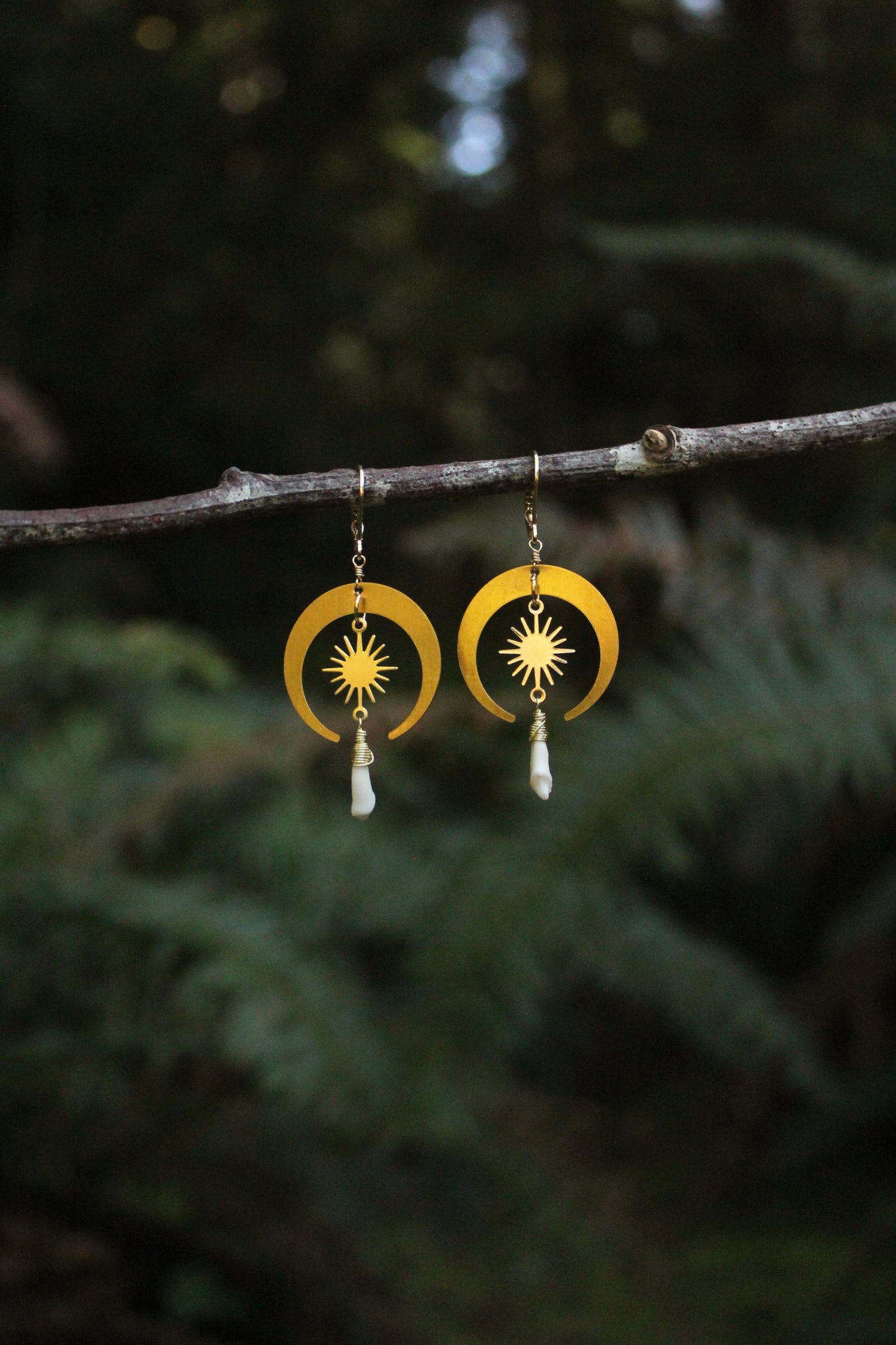Celestial Coyote Incisor Earrings