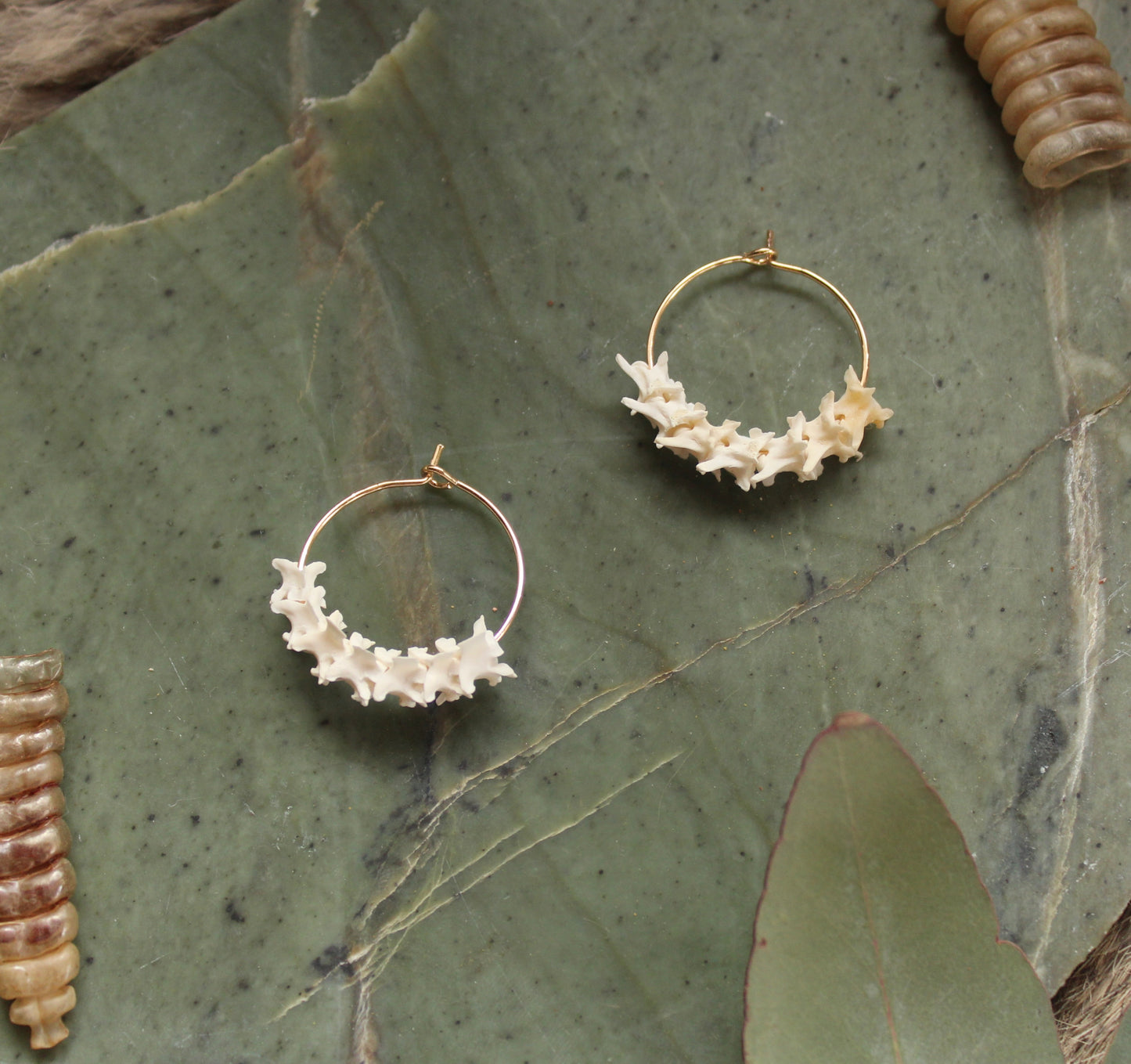 GF Rattlesnake Spine Hoops