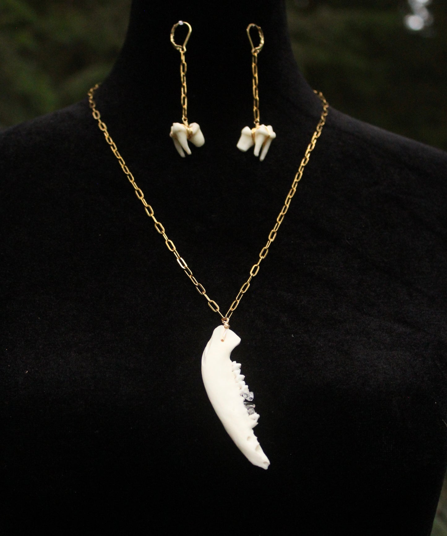 Possum Jaw Necklace