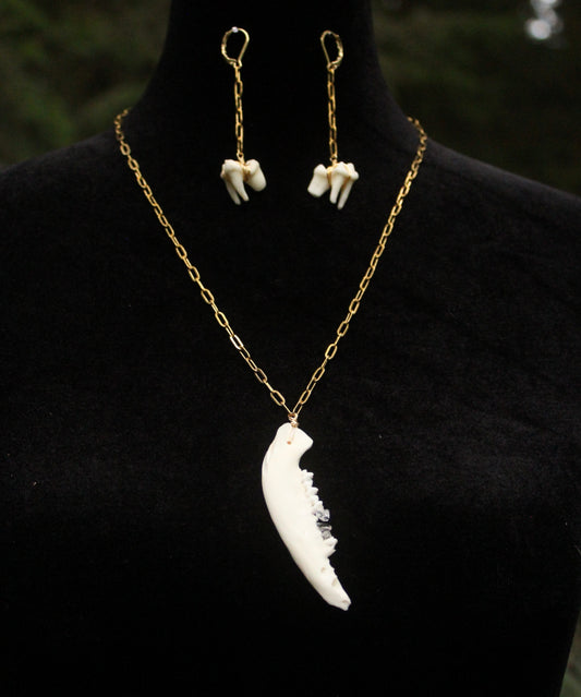 Possum Jaw Necklace
