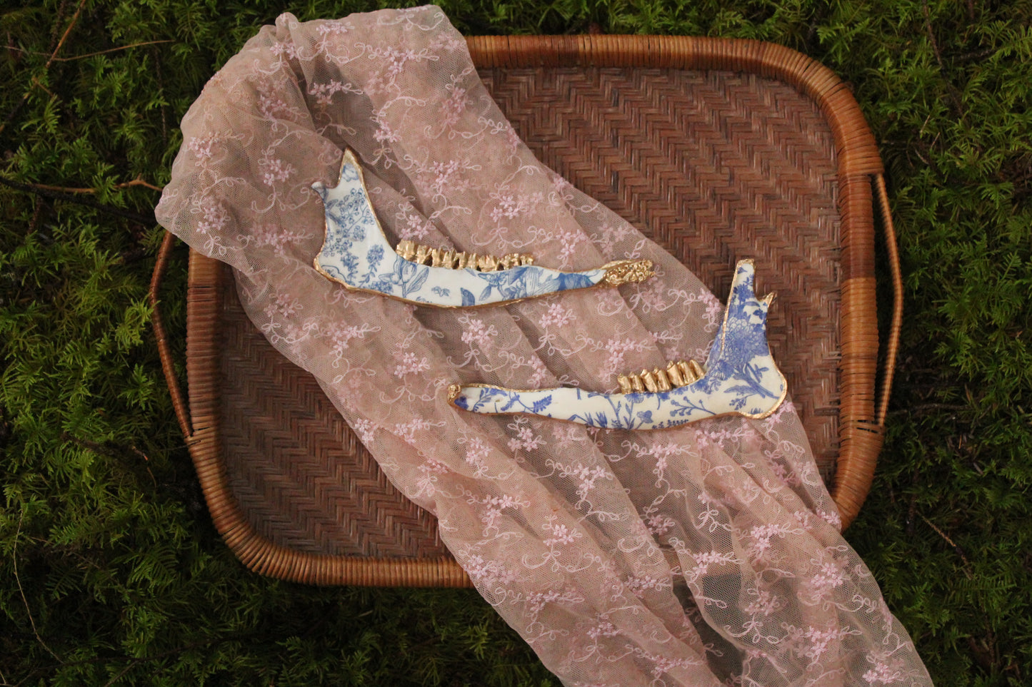 ‘Porcelain’ Deer Jaw Set