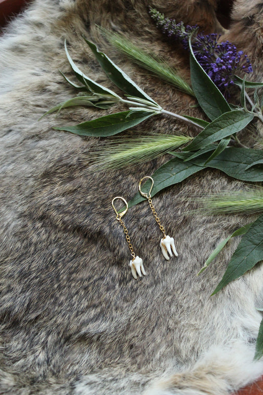 Minimalist Raccoon Tooth Drop Earrings