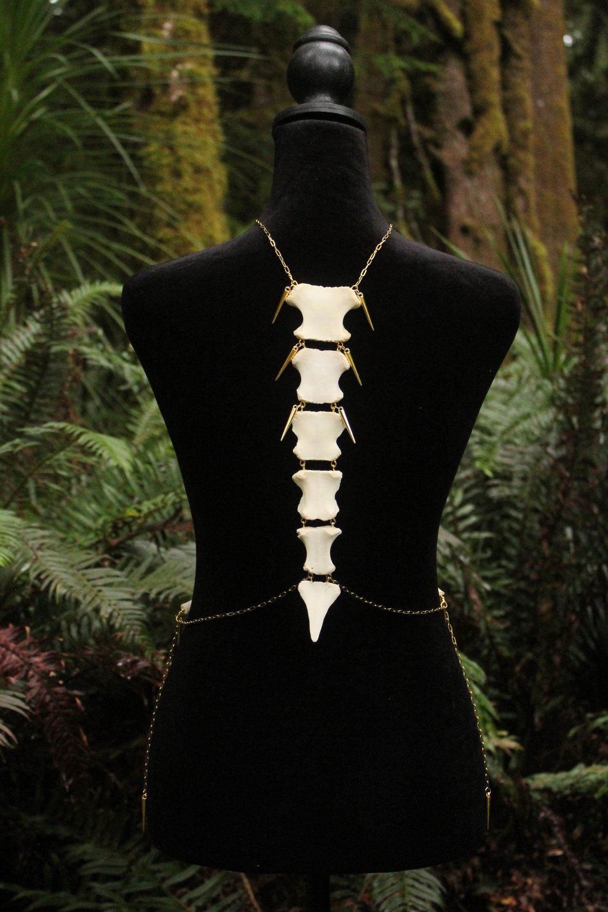 Deer Sternebrae & Rib Body Harness