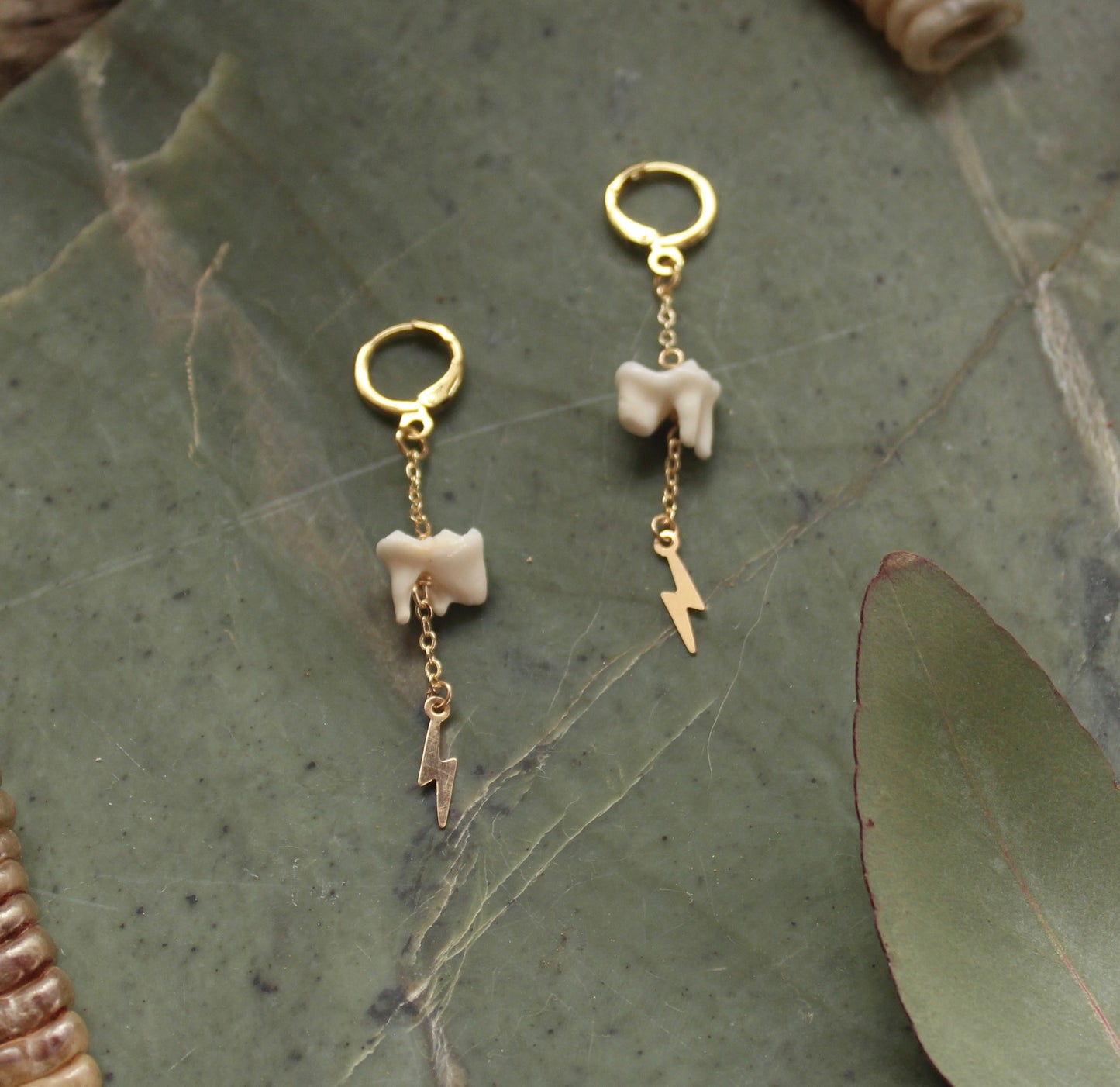 GF Raccoon Molar Earrings