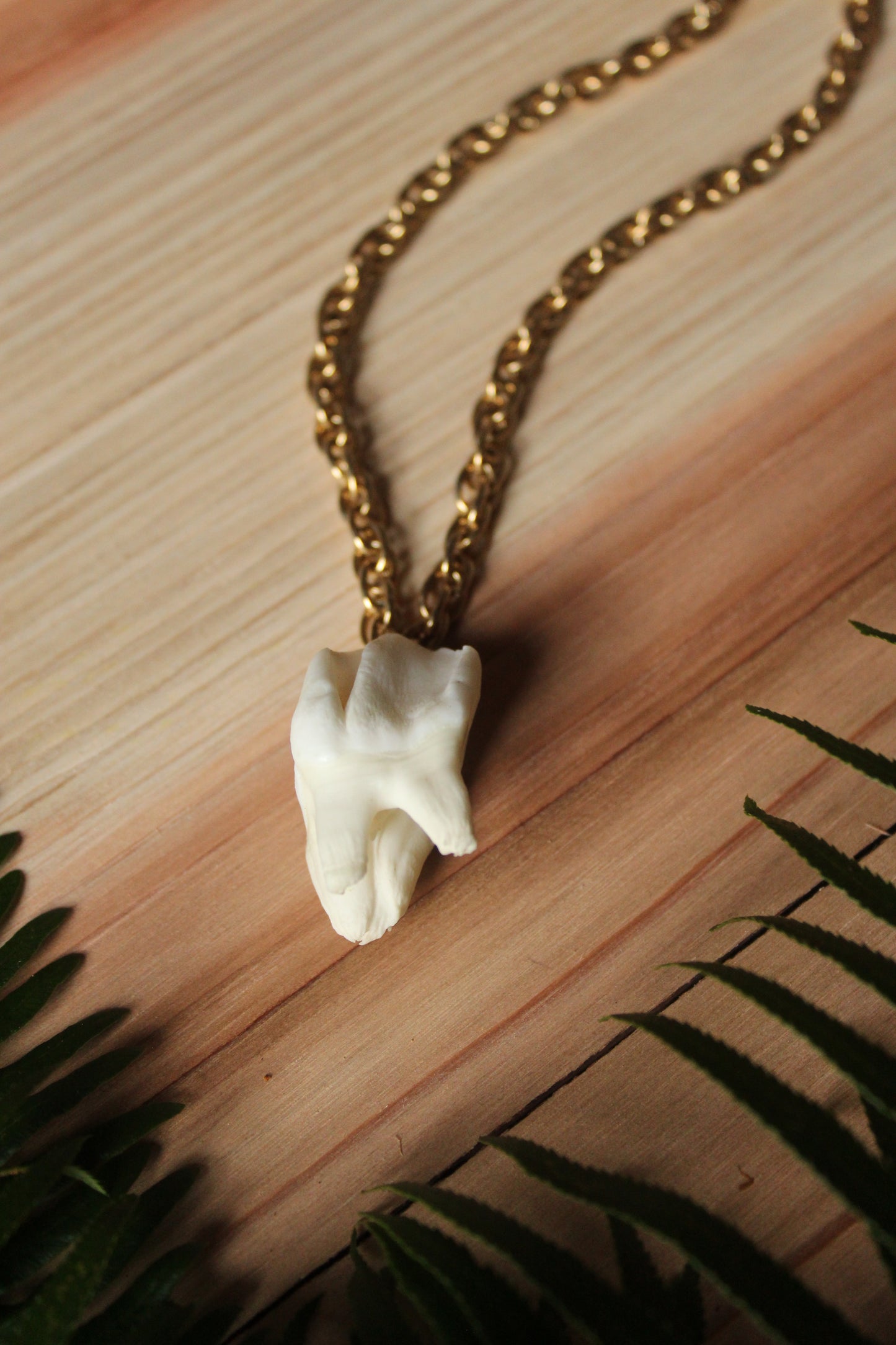 Chunky Elk Tooth Necklace